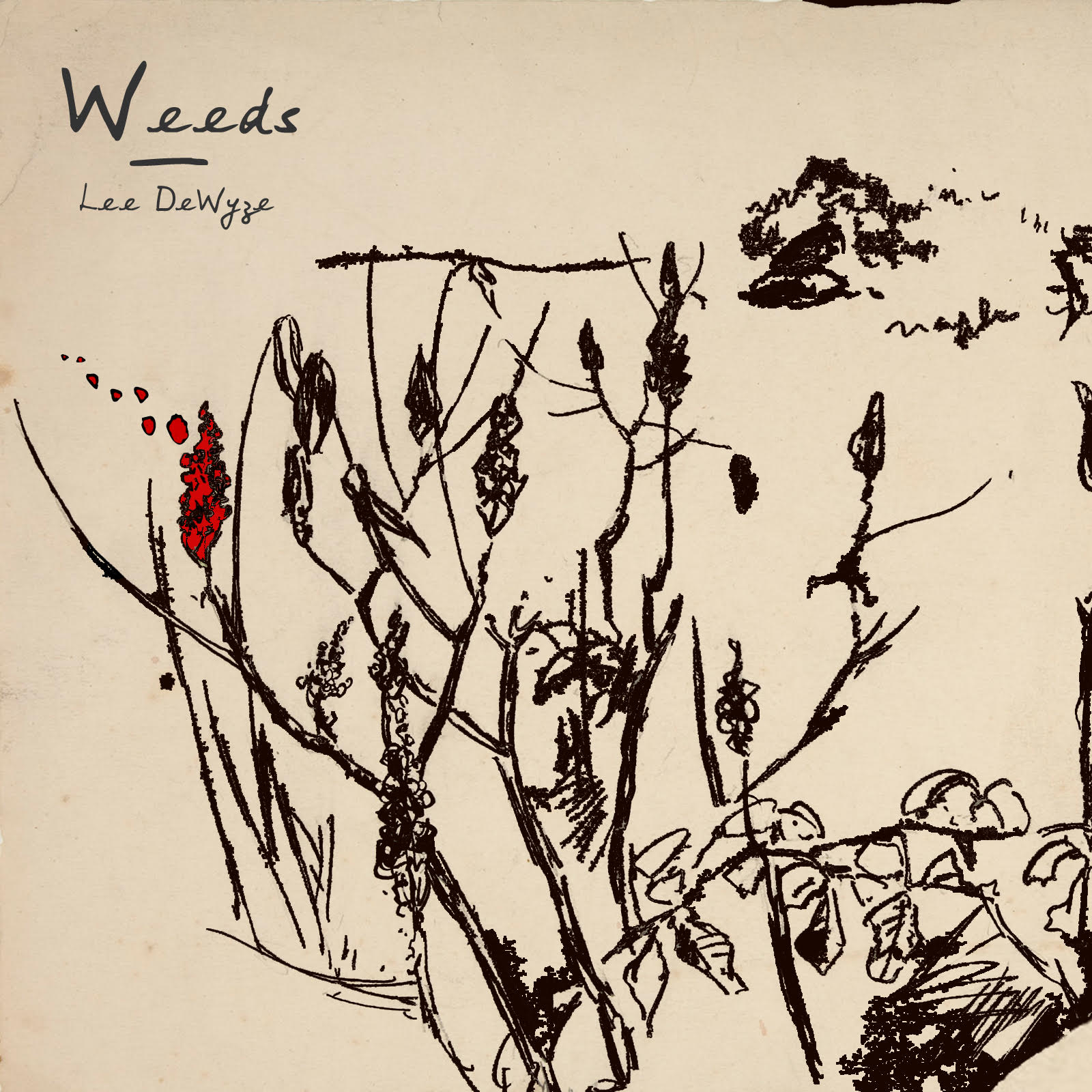 Lee DeWyze - Weeds