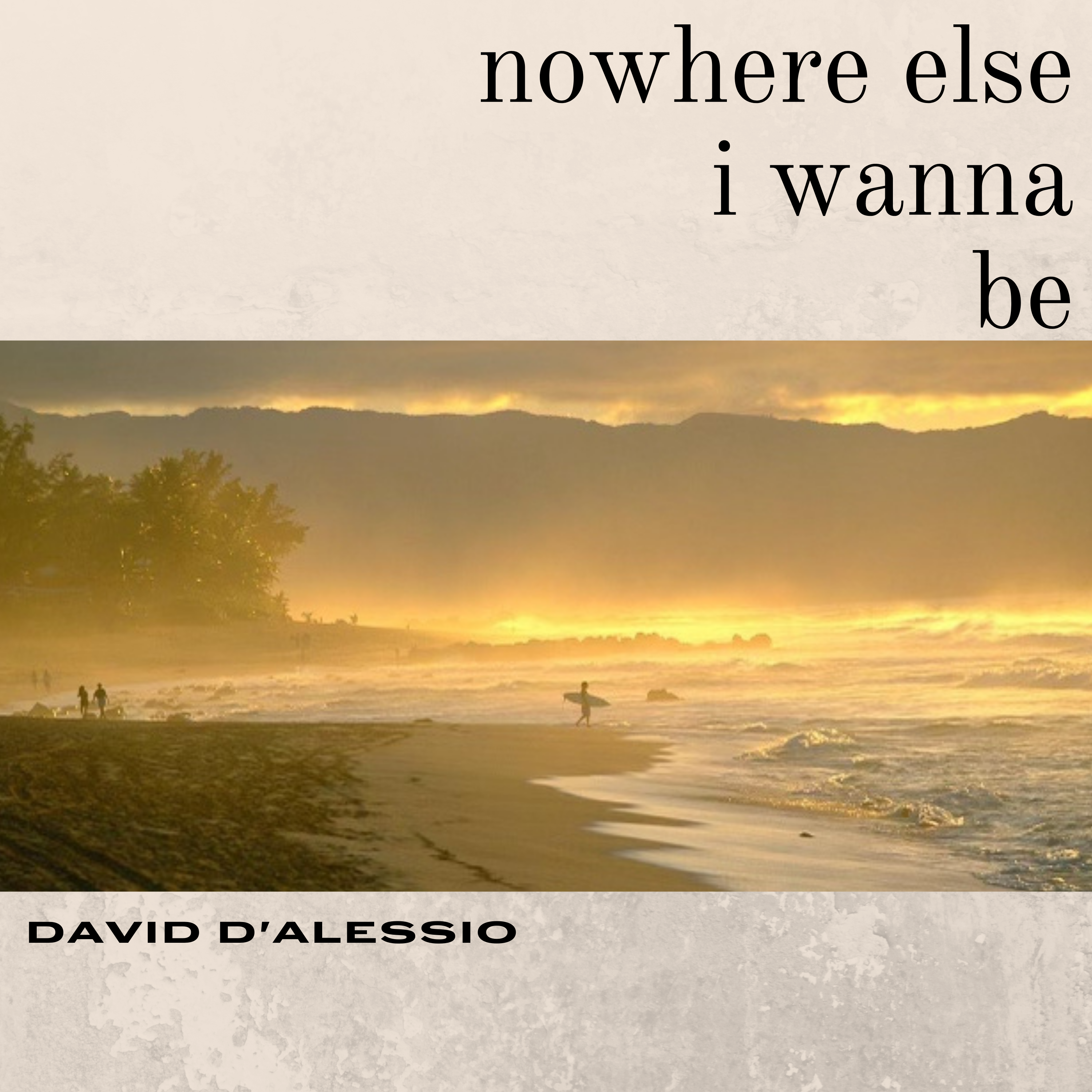 David D'Alessio - Nowhere Else I Wanna Be