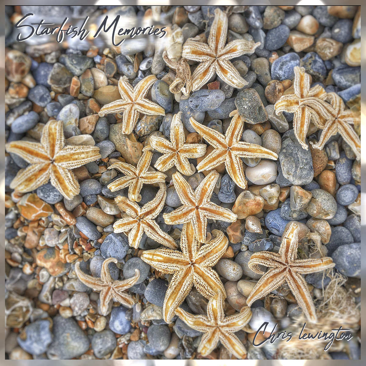 Chris Lewington - Starfish Memories